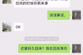 龙口为什么选择专业追讨公司来处理您的债务纠纷？